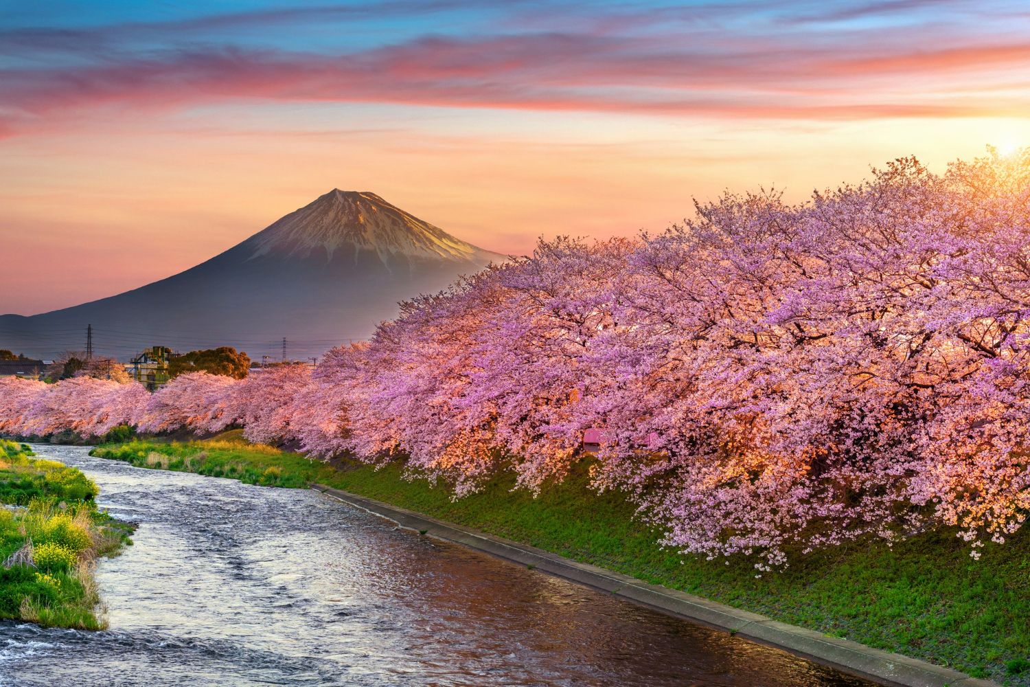 Mountain Fuji 