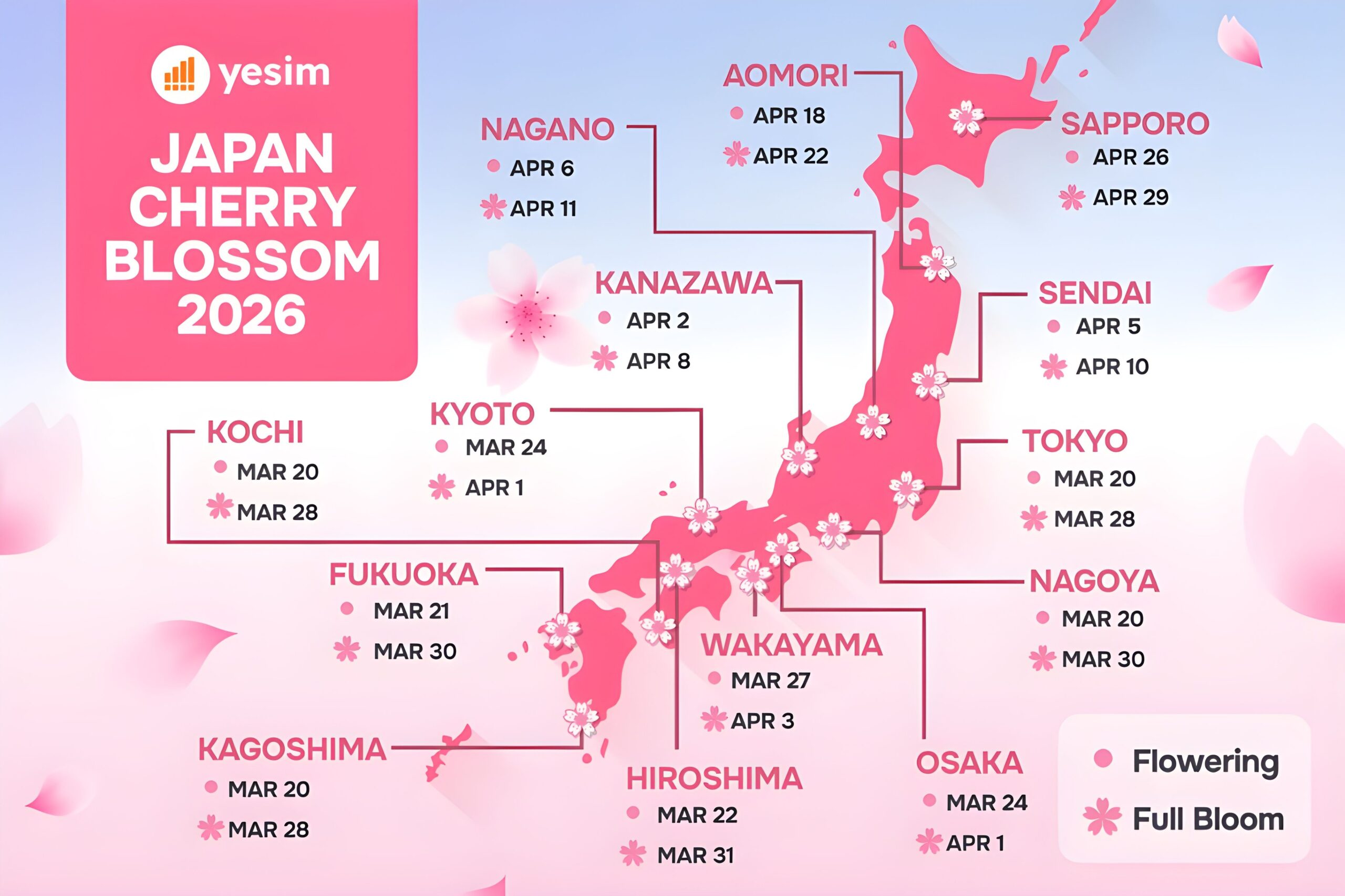 When do cherry blossoms bloom in Japan?