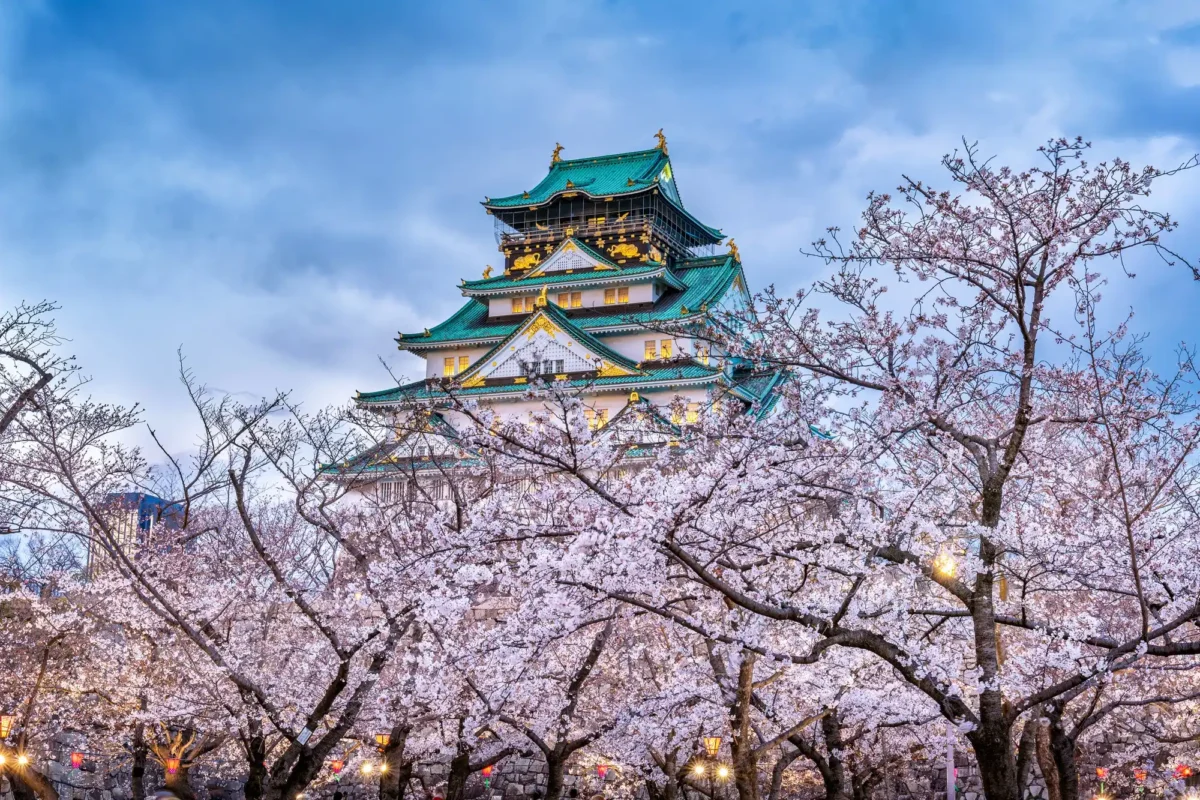 what to do in Tokio