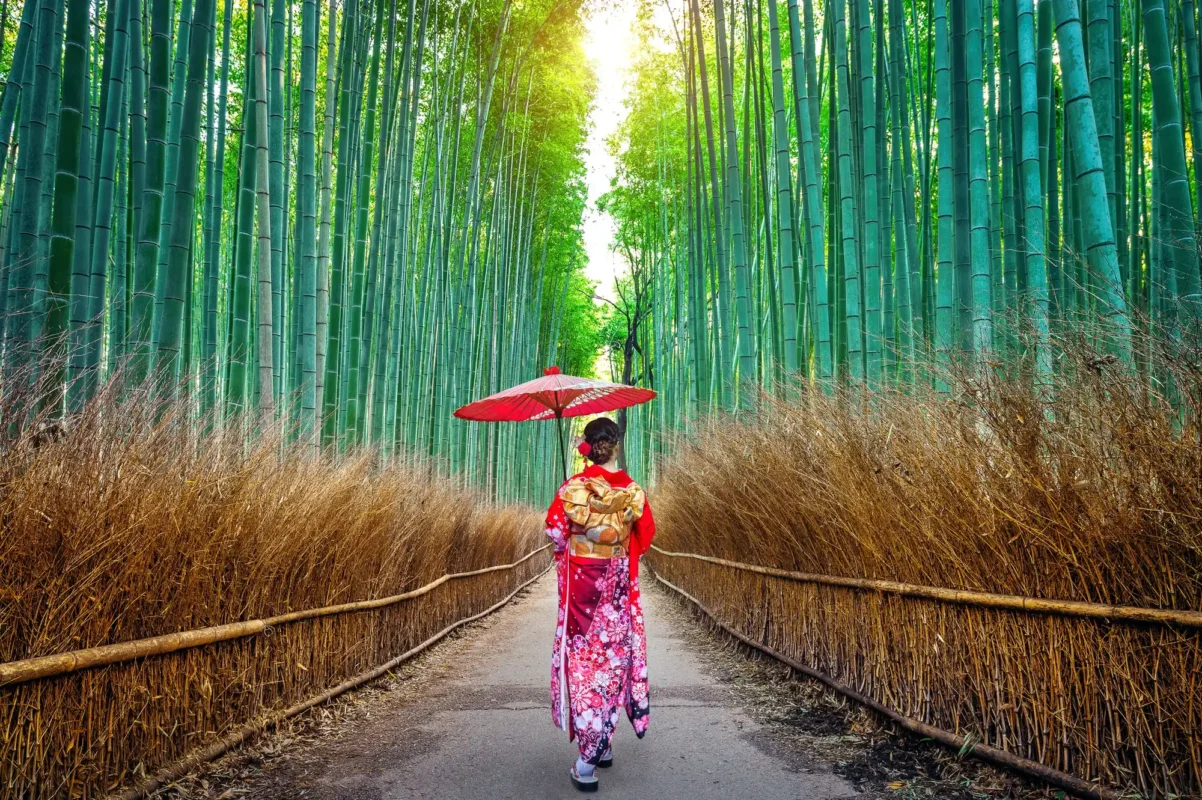 travelling from Spain to Japan