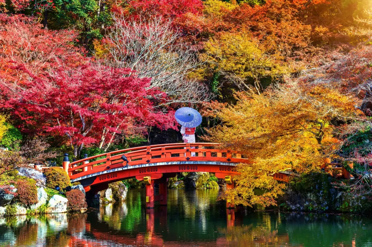 A trip to Japan from Span