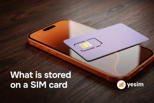 What Is Stored on a SIM Card