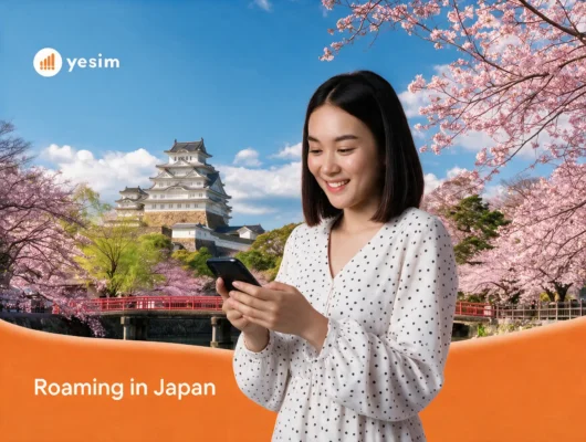 roaming-japan